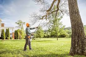 How Our Tree Care Process Works  in  Strodes Mills, PA